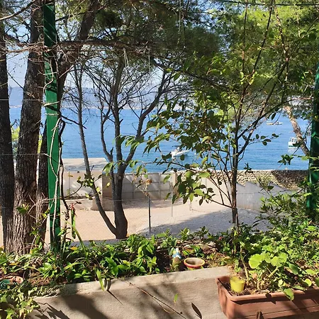 Holiday home House Nostalgia