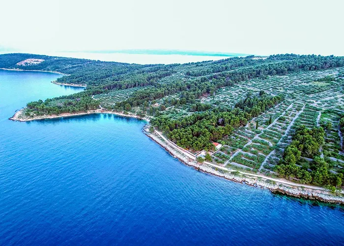 House Nostalgia Holiday home *